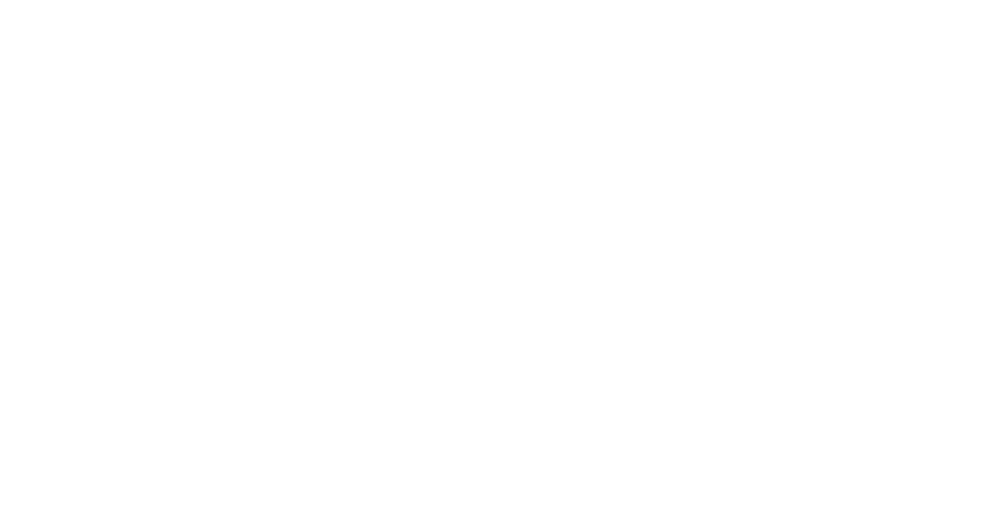 OPUS Convention